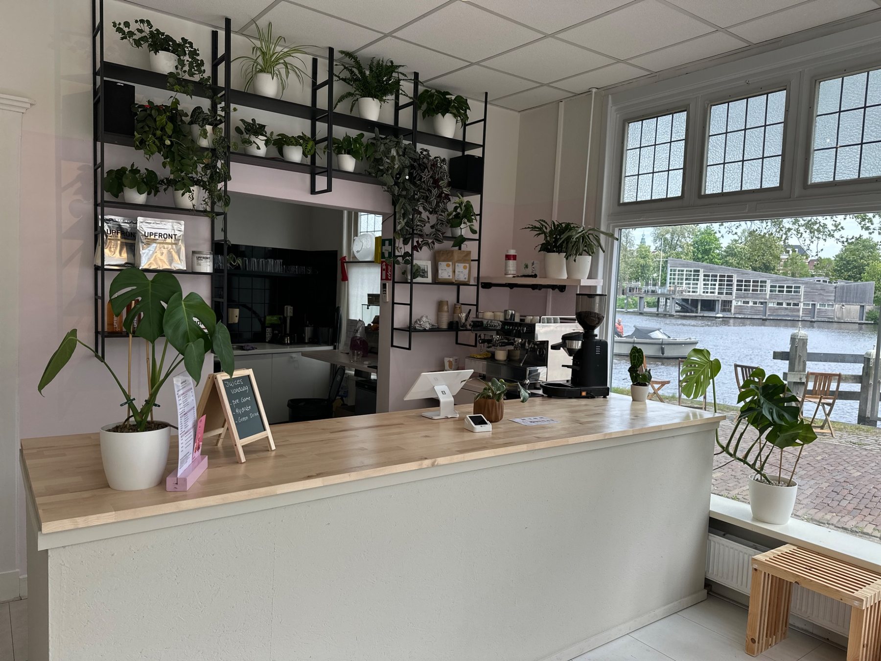 Interieur van MOJO met bar, planten en uitzicht op het water